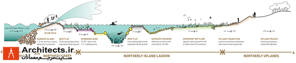 جزیره Northy Island ساخته شده به دست انسان و محیط زیست متنوع شهری 