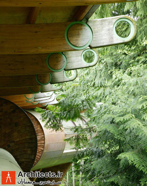 ساخت خانه جنگلی با مصالح طبیعی