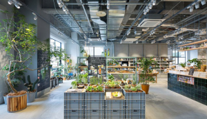 طراحی داخلی فروشگاه بزرگ چند منظوره ارگانیک در کیوتو